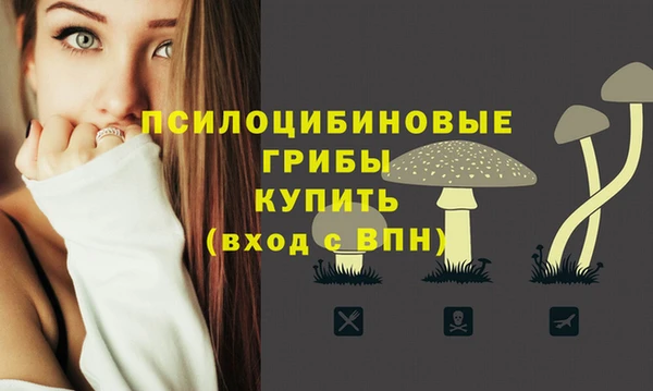 2c-b Бугульма