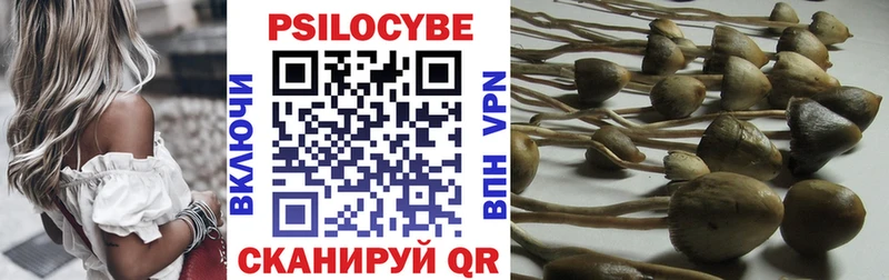 Псилоцибиновые грибы мицелий  Губаха 